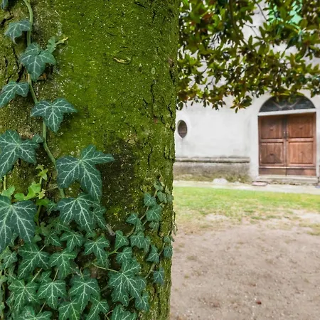 Corte Margherita Bed & Breakfast Motteggiana